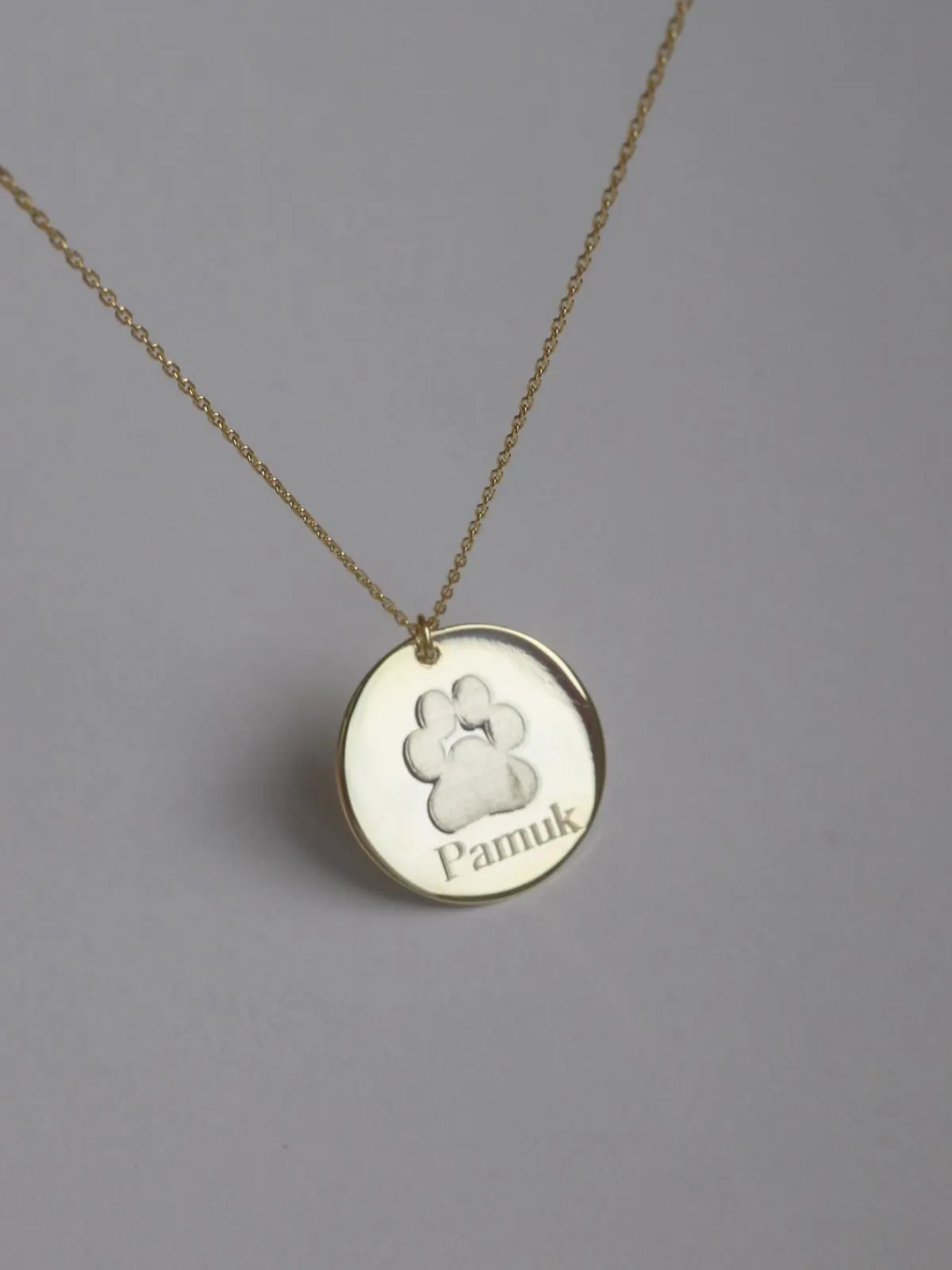 My Best Friend Paw Necklace, 925 Sterling Silver